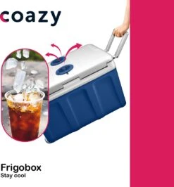 Koelbox Met Wielen Voor Auto & Camping Warm En Koud 40L - Frigobox Elektrisch 12v 230 Volt - MiniBar - Mini Koelkast | Verkoelt En Verwarmt | Eco-modus - Minibar - Mini Koelkast -Gekoelde Tassen Winkel 1114x1200 2