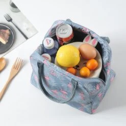 Koeltas - Lunchtas - Volwassenen En Kinderen - Compact & Handig: Zomer - Picknick -School - Lunch - Werk - Grijs Flamingo 20 Koeltas - Lunchtas - Volwassenen En Kinderen - Compact & Handig: Zomer - Picknick -School - Lunch - Werk - Grijs Flamingo -Gekoelde Tassen Winkel 1193x1200