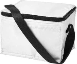 Koeltas - Mini Koeltas - Geschikt Voor 6 Blikjes - Compact Koeltas + 2 Koelelementen - Rheme -Gekoelde Tassen Winkel 1200x1001