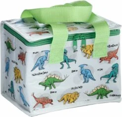 Kleine Lunch/sixpack Koeltas - Dinosaurus Print - 21 X 16 Cm - 4,7 L -Gekoelde Tassen Winkel 1200x1140