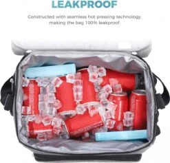 Lifewit 20L Koeltas | 20 Liter | Opvouwbaar | Koelbox-Koeltas | Isolatietas/ Picknicktas Voor Levensmiddelen / Grijs -Gekoelde Tassen Winkel 1200x1153