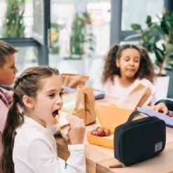 Brisby 4 Laags Geïsoleerde Koeltas - Lunchtas 1.5 Liter - Zwart -Gekoelde Tassen Winkel 1200x1200 296