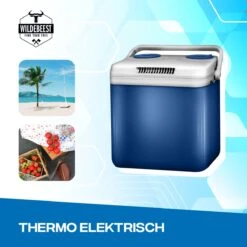 Koelbox Met ECO Modus Voor Auto & Camping Warm En Koud 32L - Frigobox Elektrisch 32 Liter Met 12v 230 Volt - Verkoelt En Verwamt - MiniBar - Mini Koelkast -Gekoelde Tassen Winkel 1200x1200 345