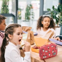 Brisby 4 Laags Geïsoleerde Koeltas - Lunchtas 1.5 Liter - Roze Pinguïn -Gekoelde Tassen Winkel 1200x1200 46