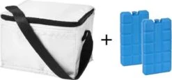 Koeltas - Mini Koeltas - Geschikt Voor 6 Blikjes - Compact Koeltas + 2 Koelelementen - Rheme