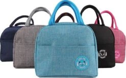 Koeltas - Lunchtas - Volwassenen En Kinderen - Compact & Handig: Zomer - Picknick -School - Lunch - Werk - Klassiek Zwart 13 Koeltas - Lunchtas - Volwassenen En Kinderen - Compact & Handig: Zomer - Picknick -School - Lunch - Werk - Klassiek Zwart -Gekoelde Tassen Winkel 1200x741