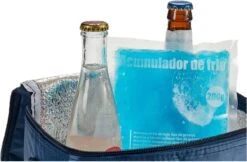 Arte R Koelelementen/icepacks - Herbruikbaar - 15 X 13 X 2 Cm -Gekoelde Tassen Winkel 1200x789 2