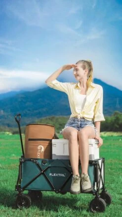 Flextail Gear Bolderkar Opvouwbaar Ezy Wagon - Tot 100KG - Wielen Loskoppelbaar - Zwart -Gekoelde Tassen Winkel 674x1200