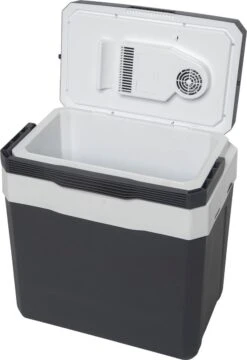 Day Thermo-elektrische Koelbox - 23 Liter - 12v/230v - Camping Koelkast -Gekoelde Tassen Winkel 823x1200